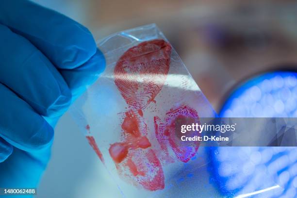 forensic science - forensisch stockfoto's en -beelden