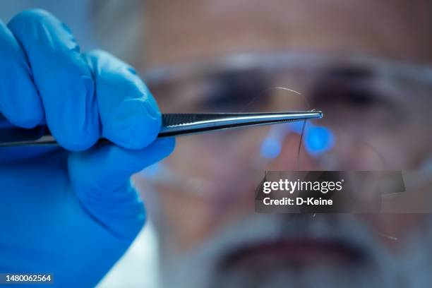 forensic science - coroner stock pictures, royalty-free photos & images
