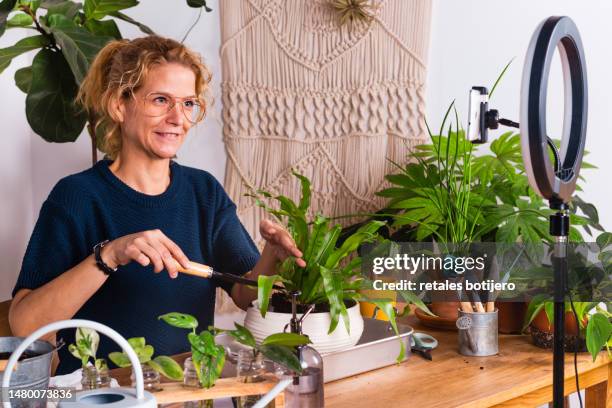 woman making a vlog about plant care at home - bird's nest fern stock pictures, royalty-free photos & images