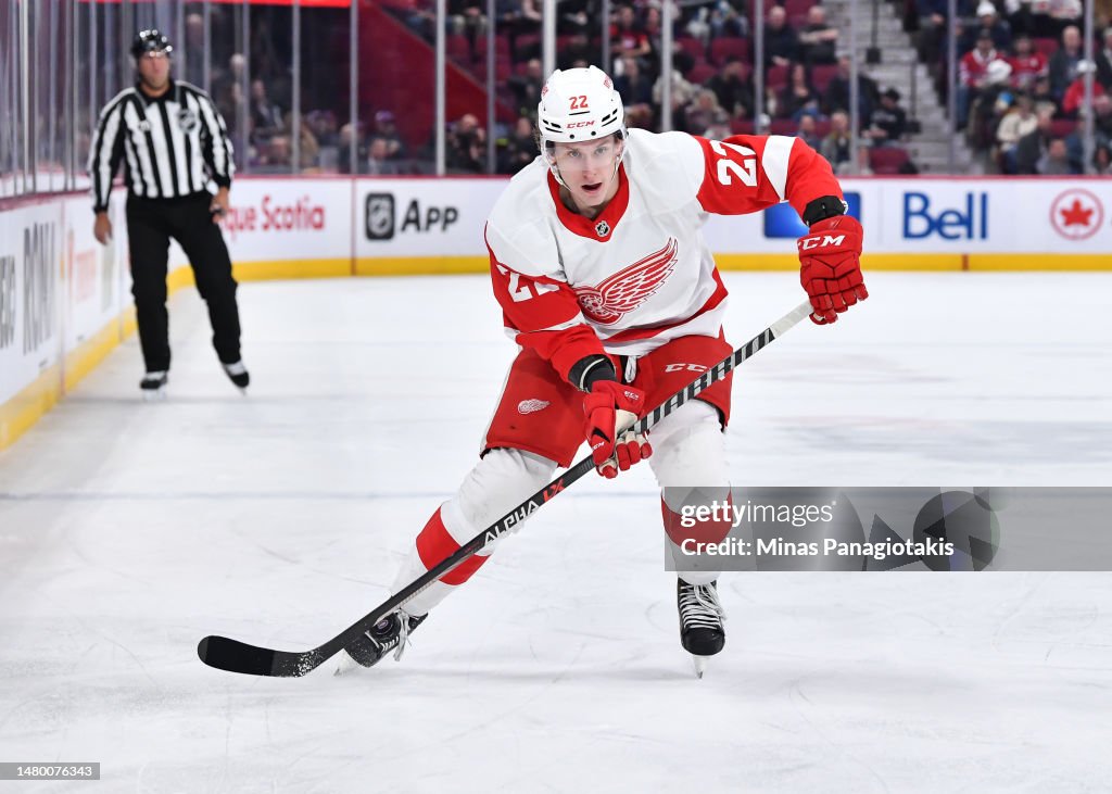 Tim Luff Matt Luff of the Detroit Red Wings skates during the first period ...