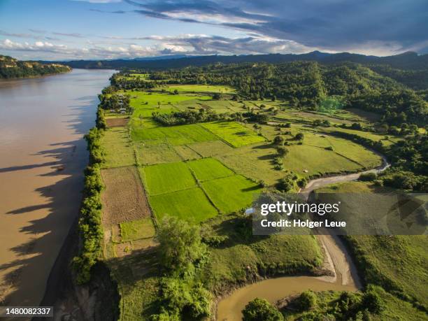 aerial of rice fields and jungle along chindwin river in late afternoon sunshine - chindwin stock pictures, royalty-free photos & images