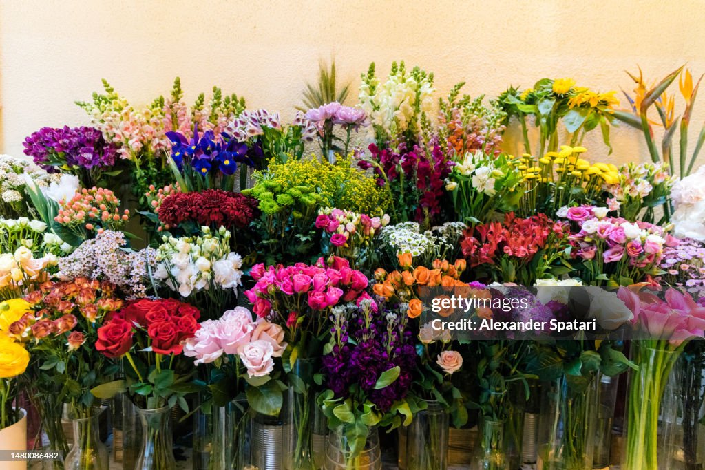 Multi-colored vibrant fresh flower bouquets at the flower shop