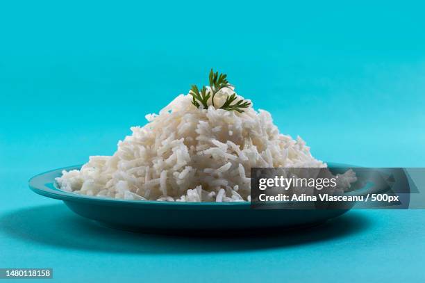 cooked plain white basmati rice with corriander in a blue plate on blue background,romania - rice grain stock-fotos und bilder