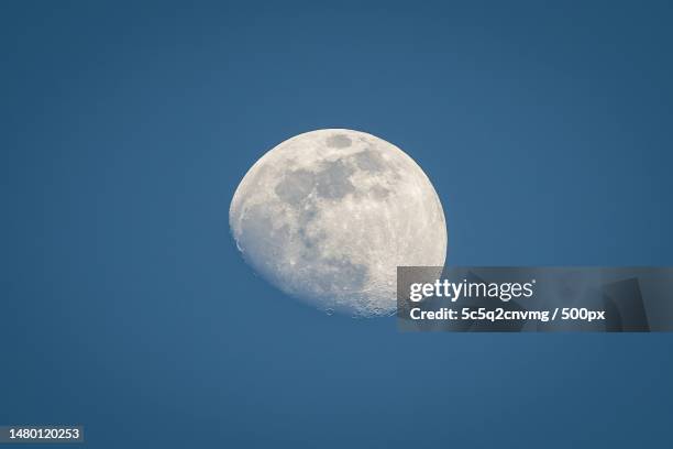 low angle view of moon against clear blue sky,switzerland - beautiful moon stock pictures, royalty-free photos & images