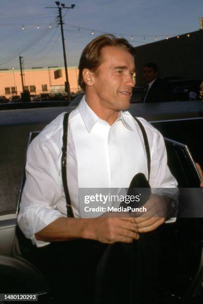 82 Arnold Schwarzenegger 1980 Stock Photos, High-Res Pictures, and