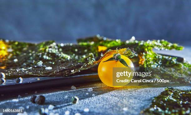 close-up of orange fruit on table,romania - sal de cozinha - fotografias e filmes do acervo