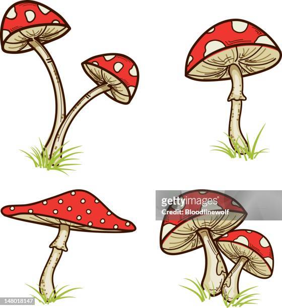 red mushrooms with grass - toadstool stock illustrations