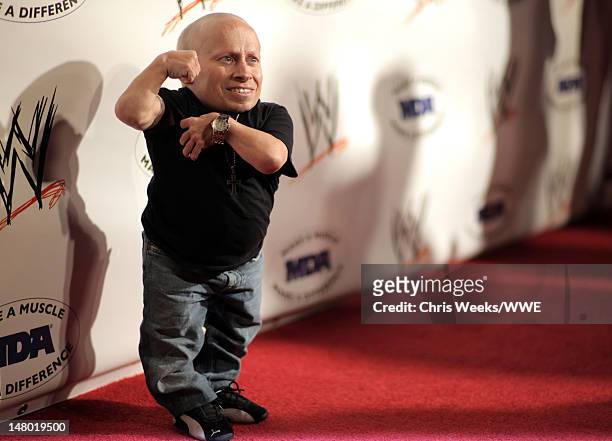 Actor Verne Troyer arrives at the WWE SummerSlam Kickoff Party held at the Tropicana Bar at The Hollywood Rooselvelt Hotel on August 13, 2010 in...