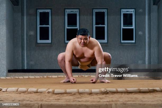 portrait of a mid-adult male sumo wrestling coach on a dohyo - japanese sumo stock pictures, royalty-free photos & images