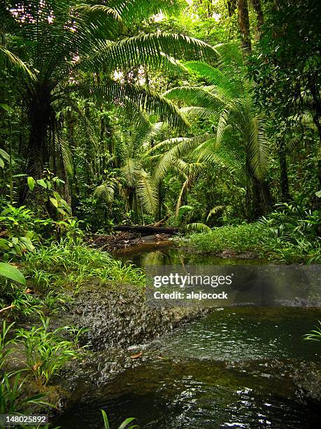 san cipriano - valle del cauca stock-fotos und bilder