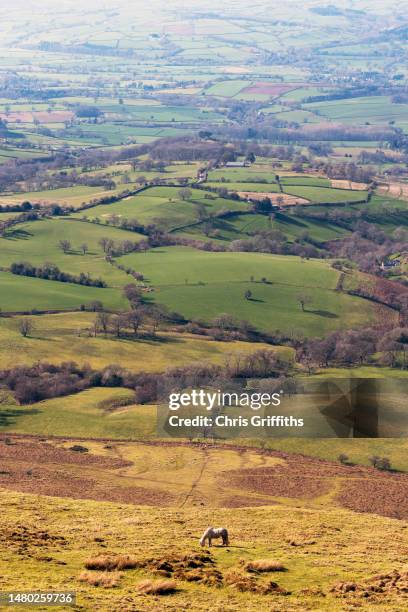 twmpa mountain, powys, wales, united kingdom - border free stock pictures, royalty-free photos & images