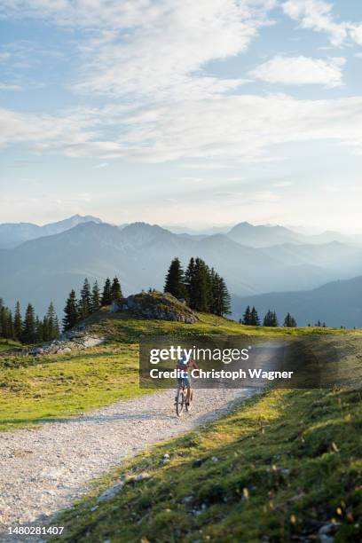 Man Goes Mountainbiking In The Alps, 照片檔