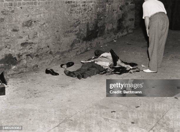 The bloody body of Giuseppe Bello, alias Giuseppe Fansone, 40-year-old underworld character, lies in the alleyway at 442 East 117th Street where...