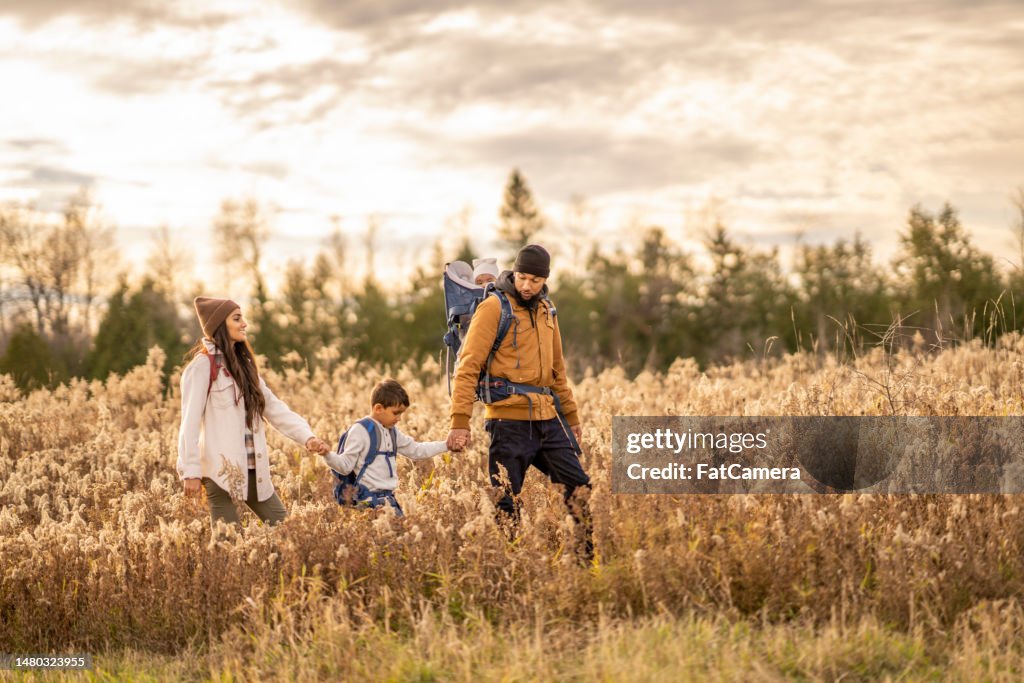 Hiking Through the Grass