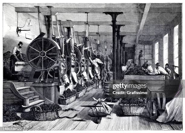 manufacturing tobacco in factory in paris france 1874 - tobacconists stock illustrations