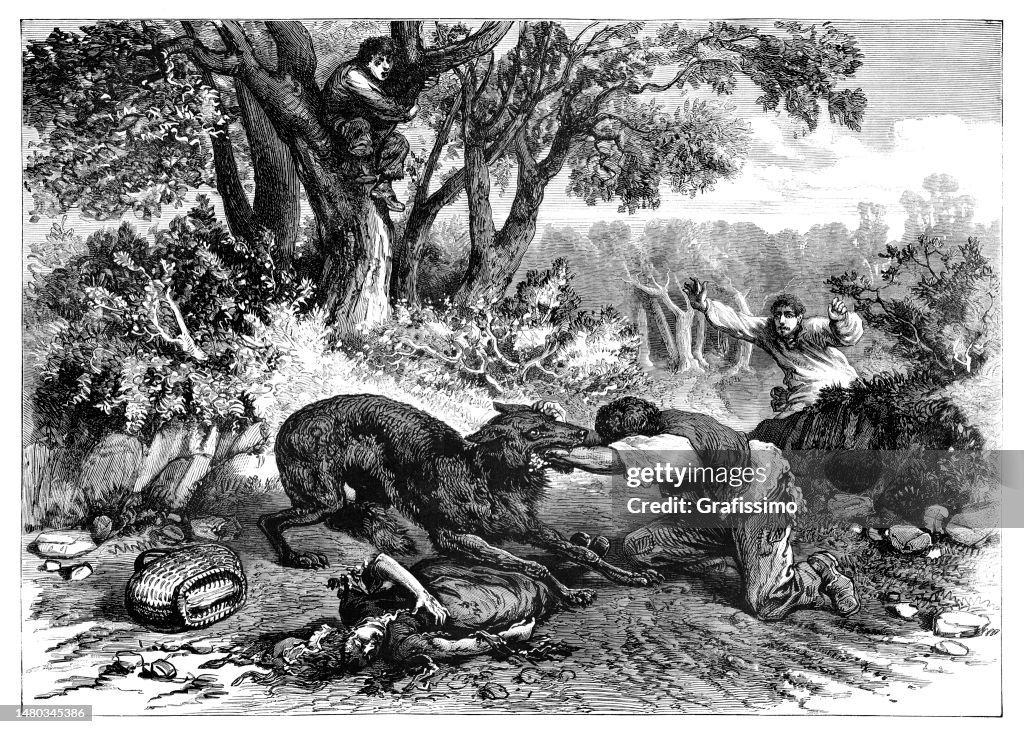 One rabies wolf killing three people 1874