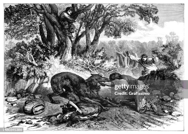 one rabies wolf killing three people 1874 - animals attacking stock illustrations