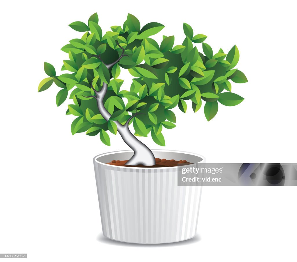Plant Icon