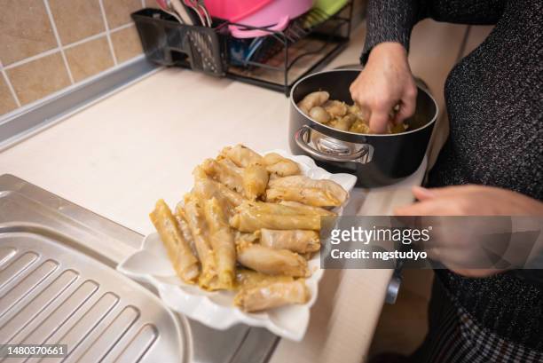 close up woman is putting the cabbage roll on the plates for serving . - cabbage roll stock pictures, royalty-free photos & images