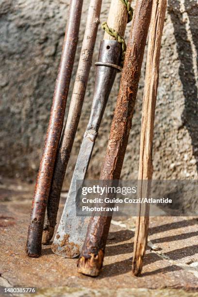 tuscany, tools for truffle hunting - 聖米尼亞多 個照片及圖片檔