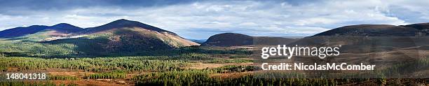 panorama der cairngorms national park - nicolas berggruen stock-fotos und bilder