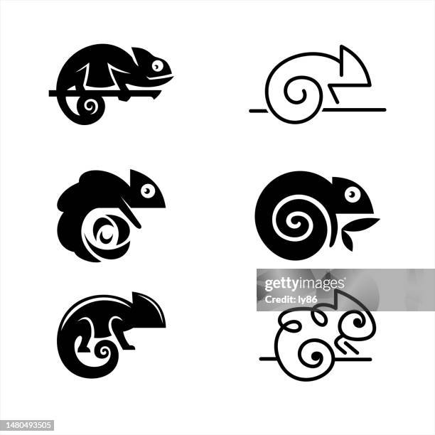 stockillustraties, clipart, cartoons en iconen met chameleons icons - chameleon