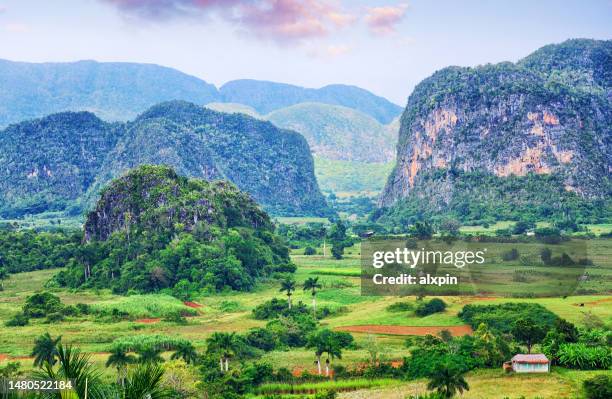 valle de vinales, cuba - pinar del rio 個照片及圖片檔