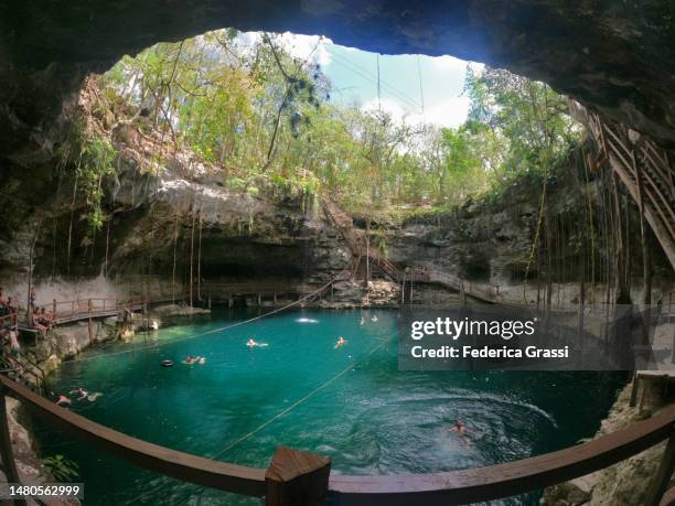 180° view of xcanché cenote near valladolid, yucatan, mexico. - cenote stock pictures, royalty-free photos & images