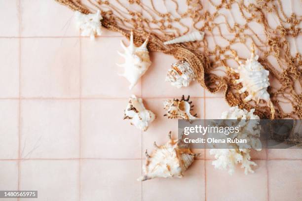 Peach Shell Photos and Premium High Res Pictures - Getty Images