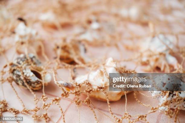 Peach Shell Photos and Premium High Res Pictures - Getty Images