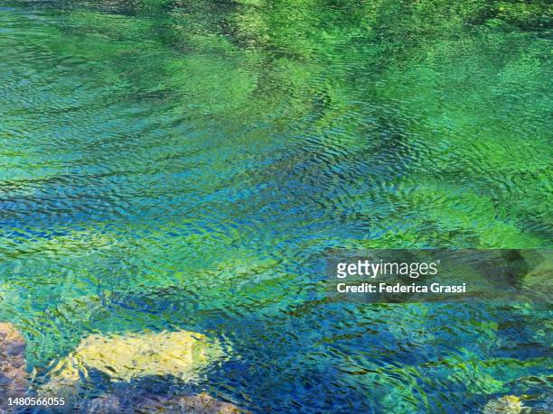 colorful reflections at cenote jardin del eden, yucatan peninsula, mexico - mexico stock pictures, royalty-free photos & images