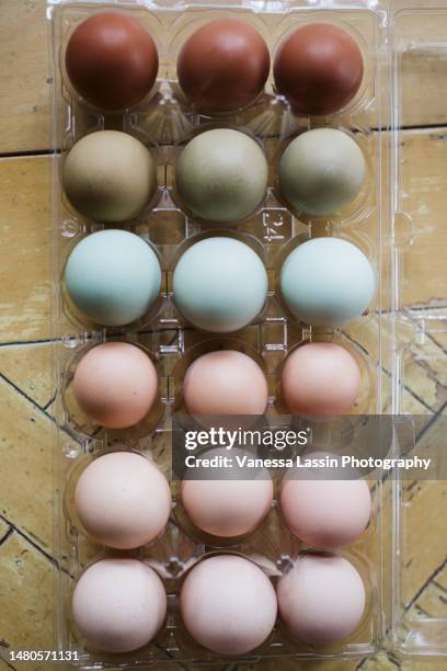 egg rainbow - vanessa lassin stock pictures, royalty-free photos & images