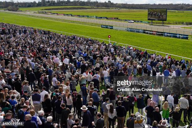Large crowd keep an eye on the big screen at Lingfield Park on April 07, 2023 in Lingfield, England.