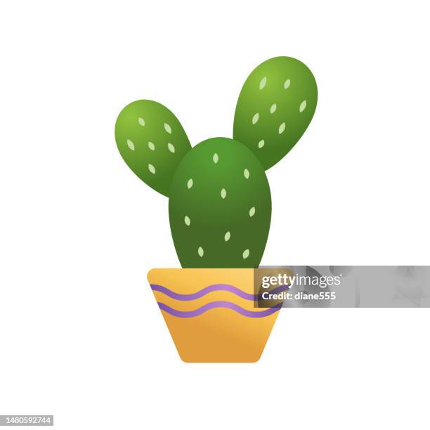 ilustraciones, imágenes clip art, dibujos animados e iconos de stock de icono de crecimiento de plantas en un fondo transparente - cactus - cacti logo