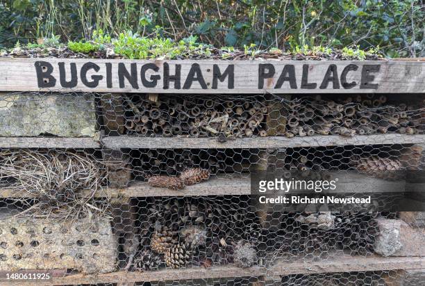 bugingham palace - poultry netting stock pictures, royalty-free photos & images