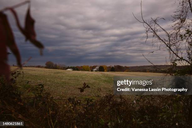 fall landscape in the countryside - vanessa lassin stock pictures, royalty-free photos & images