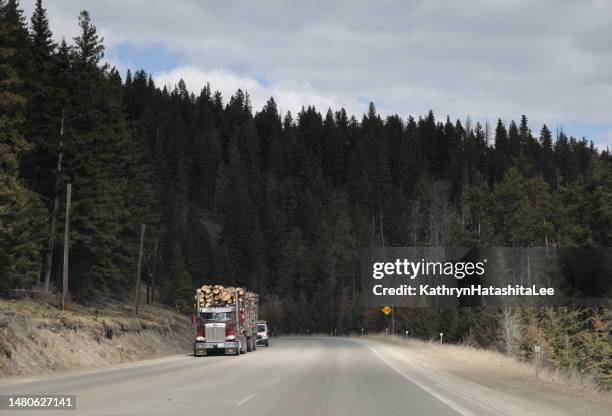 logging truck on the crowsnest highway, canada - log driver canada stock pictures, royalty-free photos & images