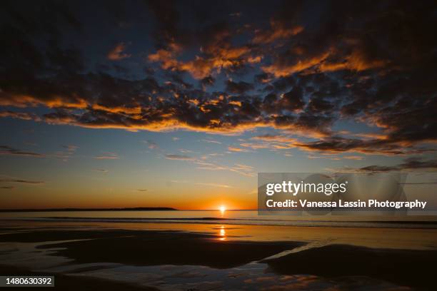 maine beach sunrise 1 - vanessa lassin stockfoto's en -beelden