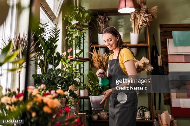 spruzzare le piante - fiorista foto e immagini stock