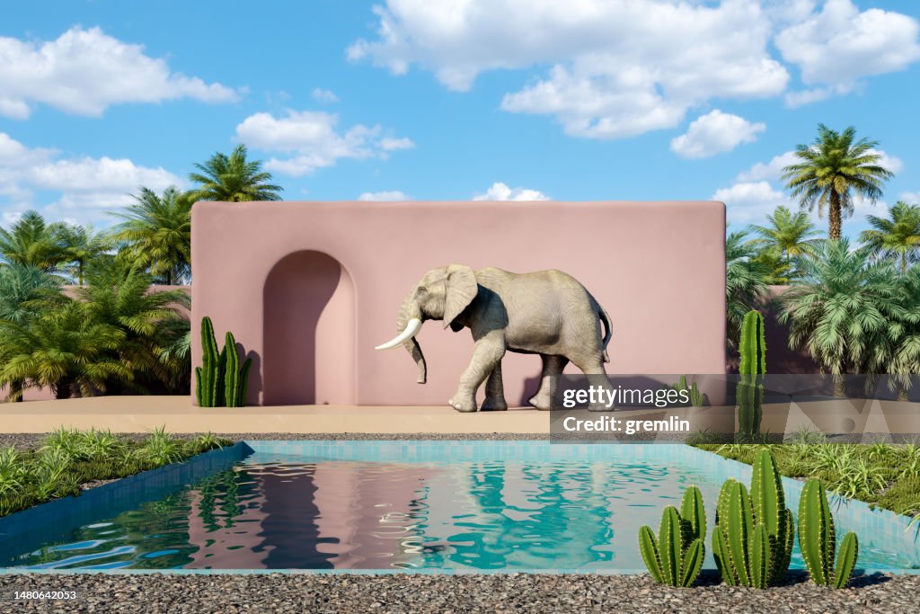 Desert house with walking elephant in the garden
