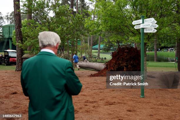An Augusta National Golf Club member looks over a fallen tree on the 17th hole during the second round of the 2023 Masters Tournament at Augusta...