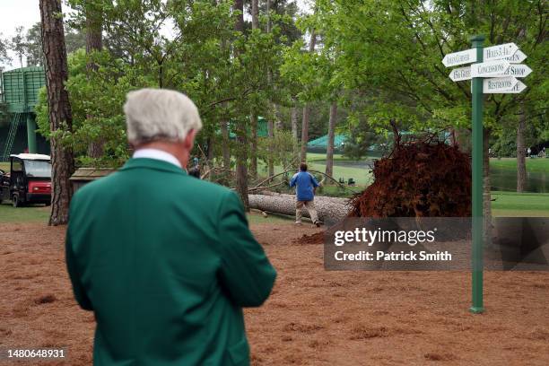 An Augusta National Golf Club member looks over a fallen tree on the 17th hole during the second round of the 2023 Masters Tournament at Augusta...