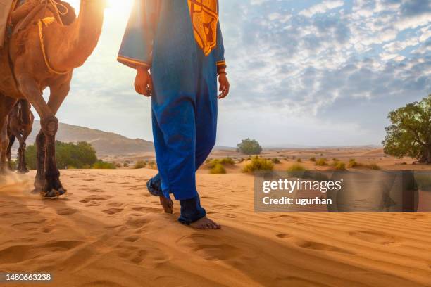 un barbiere che conduce i suoi cammelli nel deserto del sahara. - nordafricano foto e immagini stock