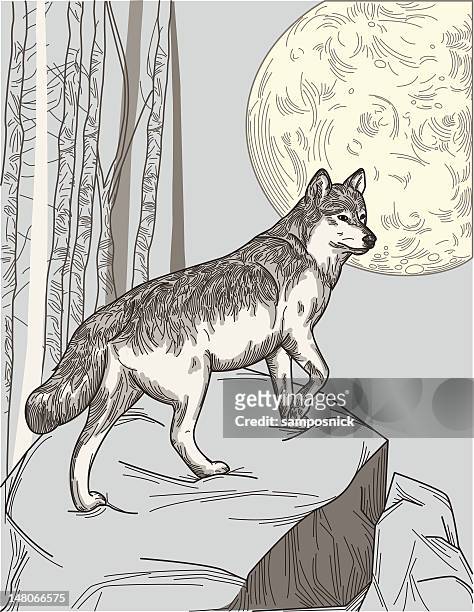 ein wolf moon - wolf moon stock-grafiken, -clipart, -cartoons und -symbole