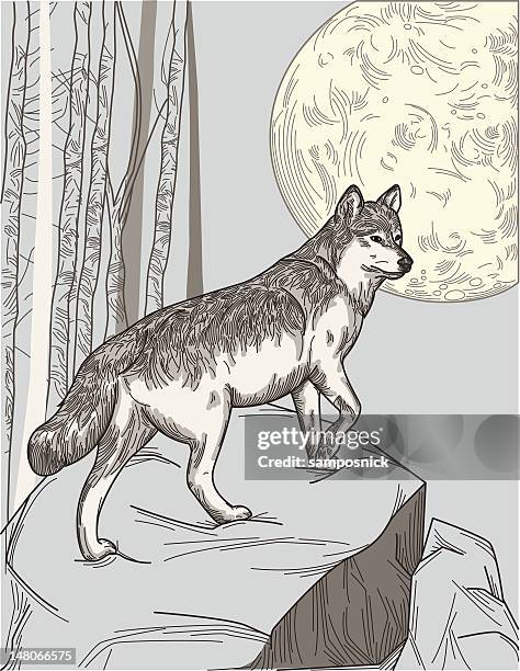 ilustrações de stock, clip art, desenhos animados e ícones de um lobo lua - wolf moon