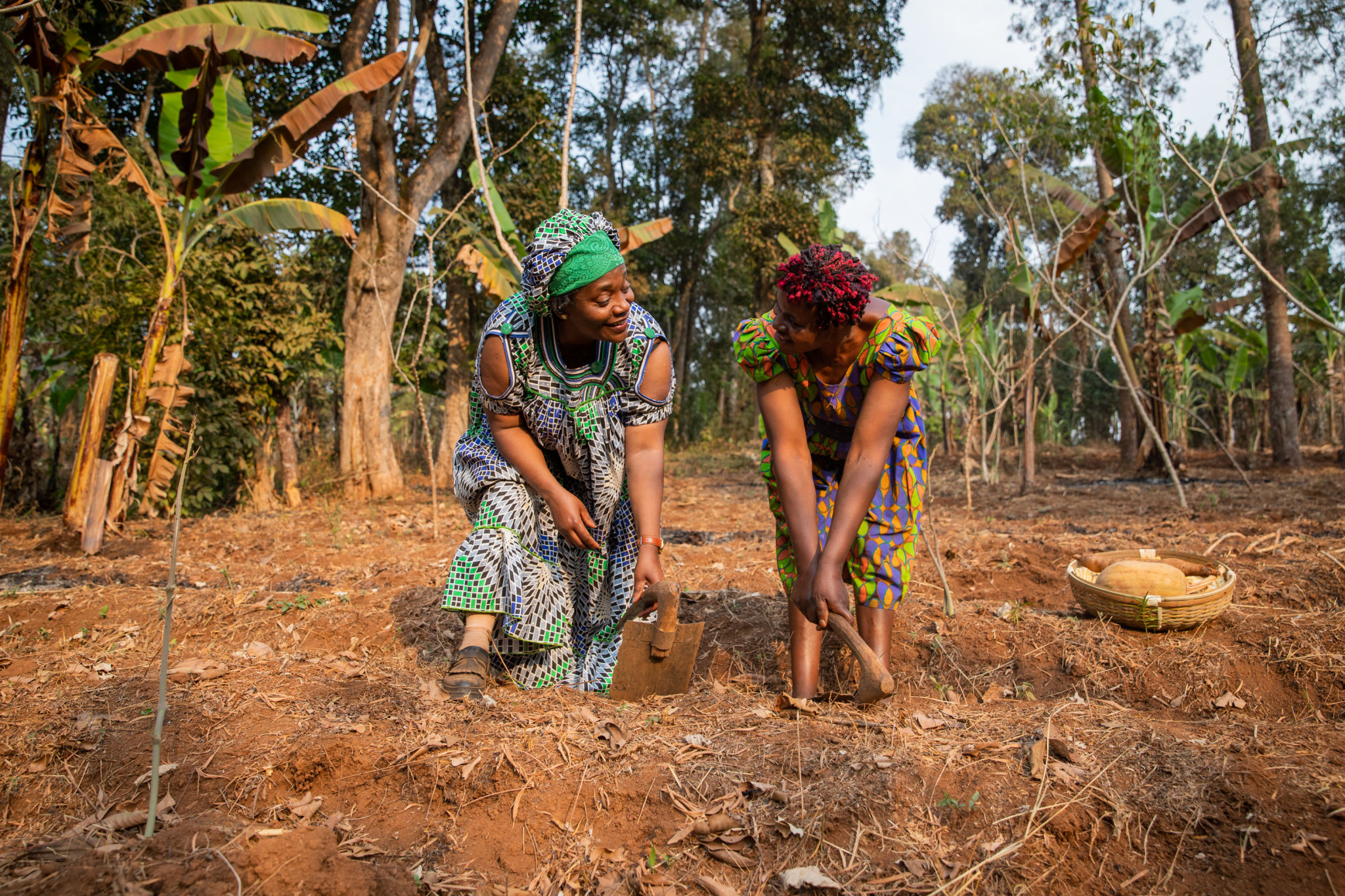 African farmers training