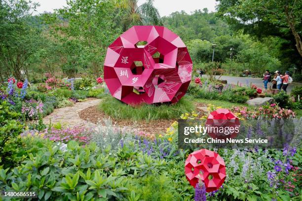 People view flowers during a media preview of 2023 Guangdong-Hong Kong-Macao Greater Bay Area Flower Show at Shenzhen Fairy Lake Botanical Garden on...