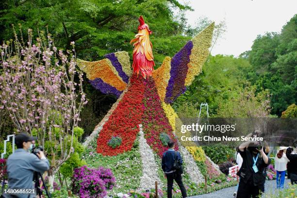 People take photos of flowers during a media preview of 2023 Guangdong-Hong Kong-Macao Greater Bay Area Flower Show at Shenzhen Fairy Lake Botanical...