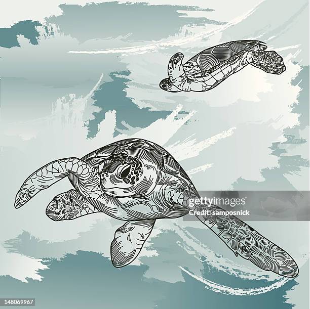 ilustraciones, imágenes clip art, dibujos animados e iconos de stock de tortugas de mar submarino - dermoquélidos