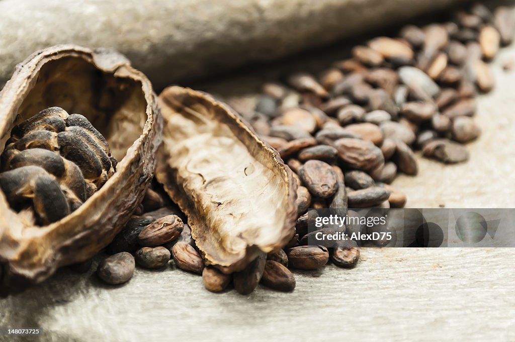 Cocoa beans with fruit